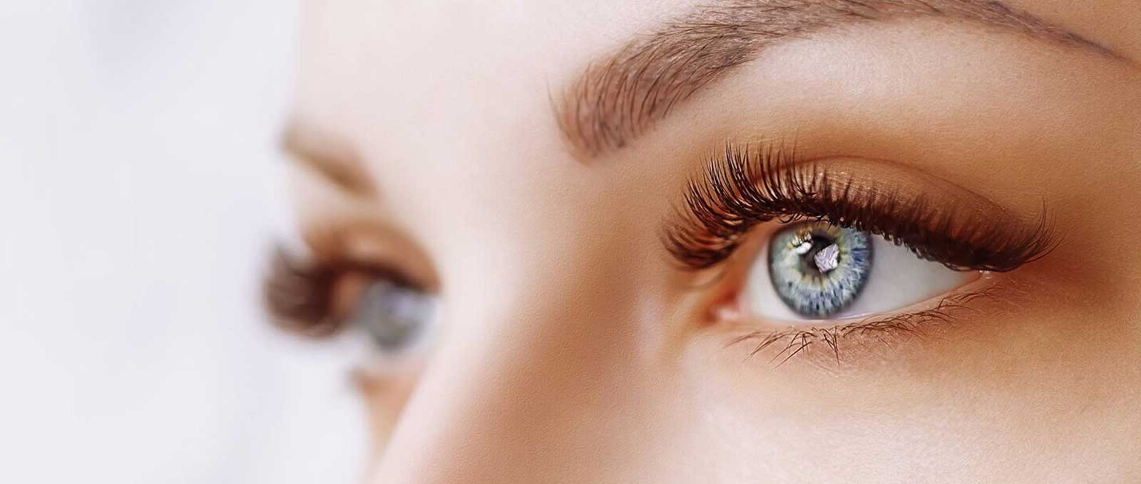 Head-Eyes-Brows